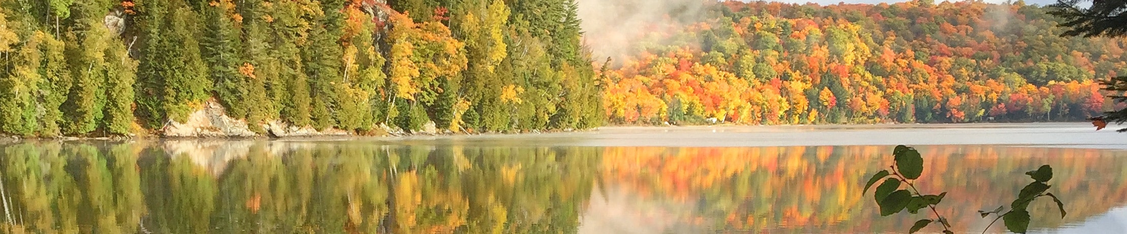 little-black-lake-banner - Haliburton Forest & Wild Life ...