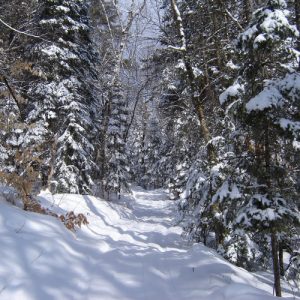 Snowmobile and ATV Trails